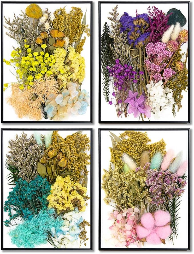 Vignee Real Dried Pressed Leaf Flowers-Multiple Colorful Pressed Flowers Daisies for Craft Resin Jewelry Making Art Craft DIY（Violet&Light Pink）