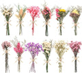 10/12/24/36 Pack Mini Dried Flowers for Vase Wedding Various Mini Bouquet Dried Small Wildflowers Natural Flowers Bulk for Crafts DIY Decor (12, Multicolor)