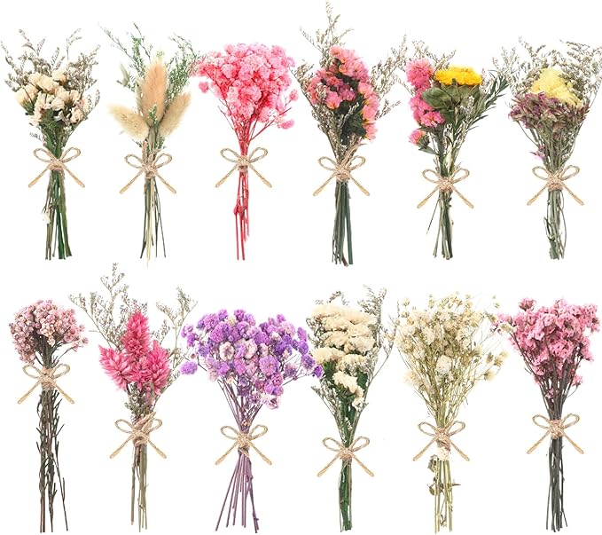 10/12/24/36 Pack Mini Dried Flowers for Vase Wedding Various Mini Bouquet Dried Small Wildflowers Natural Flowers Bulk for Crafts DIY Decor (12, Multicolor)