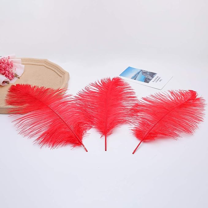 12pcs Natural Bright Red Ostrich Feathers 12-14inch (30-35cm) for Wedding Party Centerpieces，Flower Arrangement and Home Decoration.