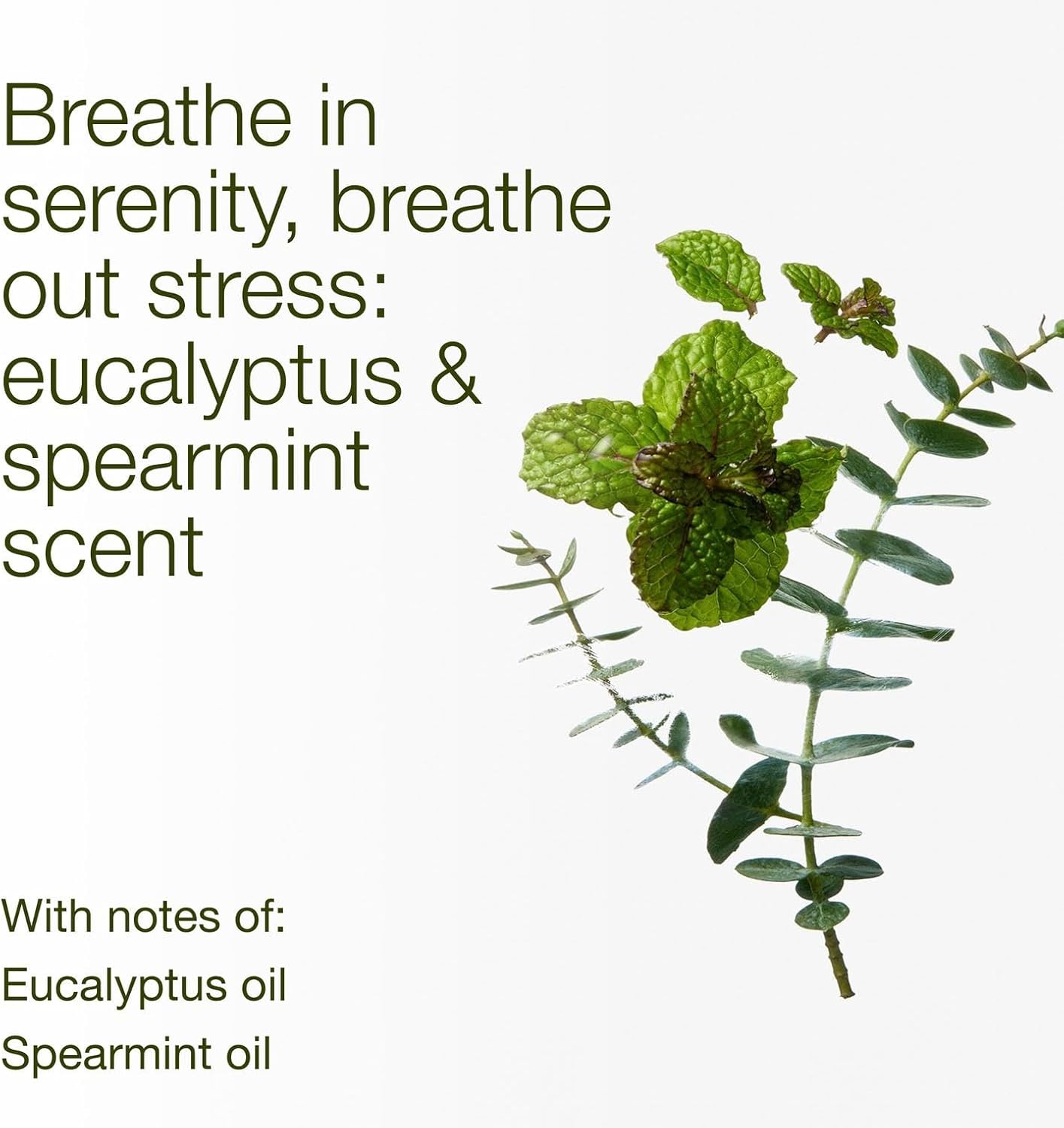 Bath & Body Works Eucalyptus Spearmint 3-Wick Candle - Scented Candle for At-Home Use - Long-Lasting, Room-Filling Fragrance - High Fragrance Oil Concentration - Soy Wax Blend