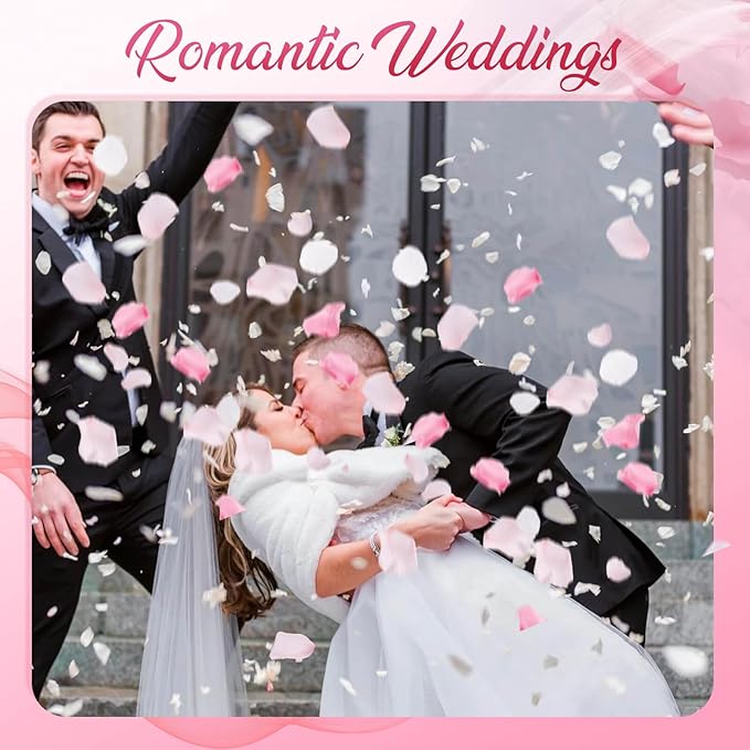 300 PCS Real Pink White Rose Flower Petals Confetti for Wedding Flower Girl to Throw, 2.82oz Freeze Dried Rose Petal for Proposal Centerpieces Romantic Night Decor