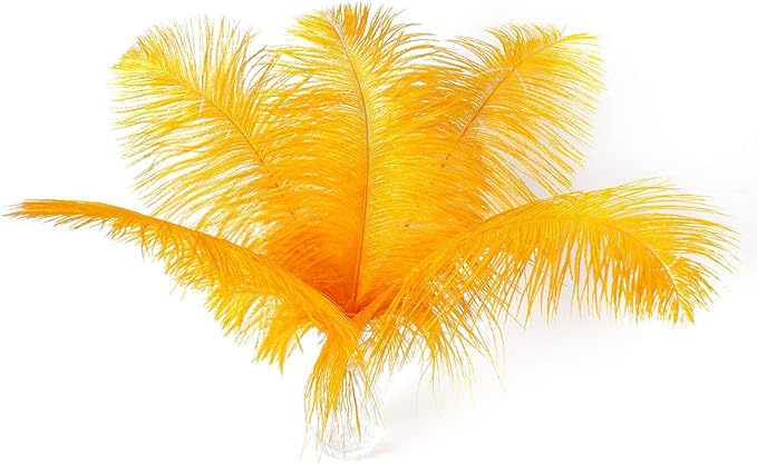 12pcs Natural Luxury Gold Ostrich Feathers 12-14inch (30-35cm) for Wedding Party Centerpieces，Flower Arrangement and Home Decoration.