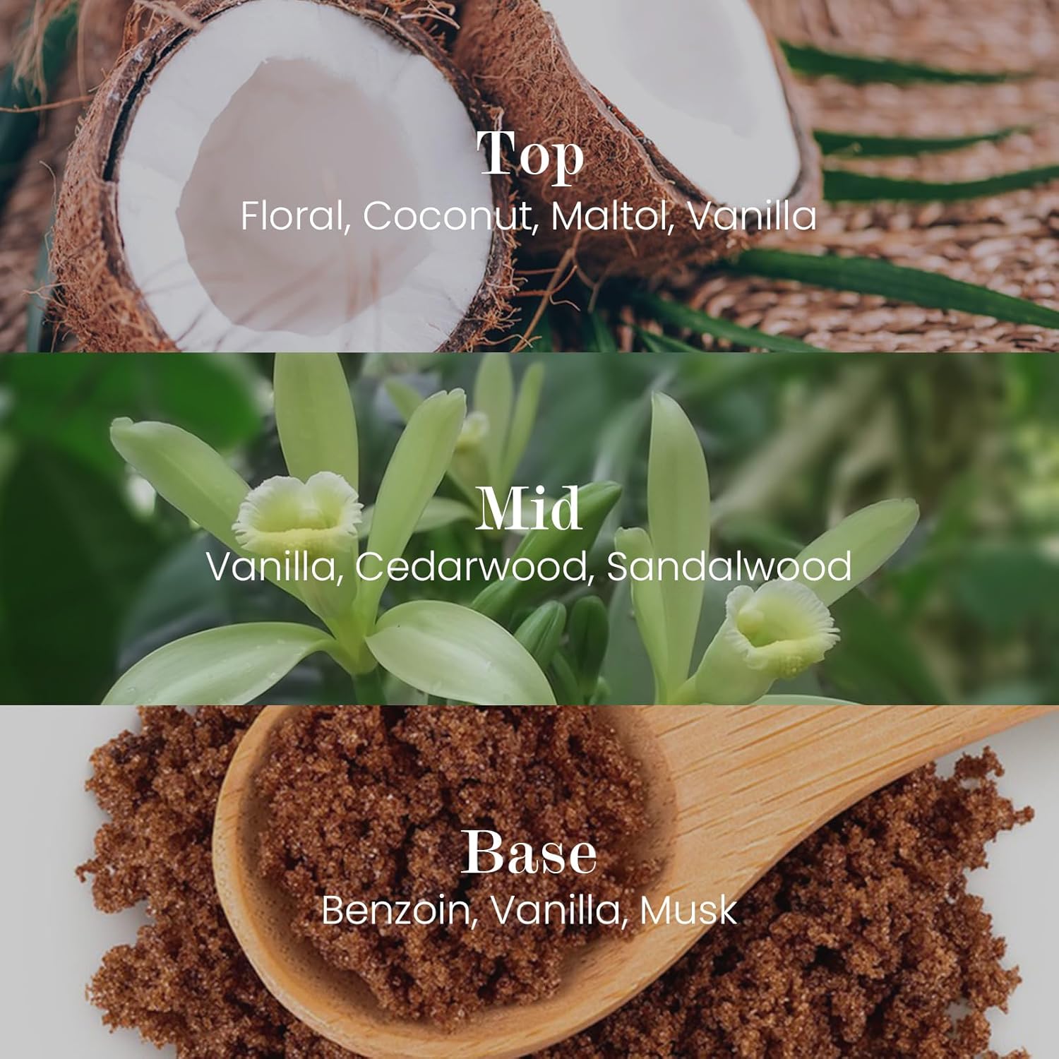 M&SENSE Natural Soy Candle| Vanilla Sandalwood | 5.3 oz | Mini Scented Candles for Relaxation,Meditation, Home Décor | for Bedroom, Office, Party Small