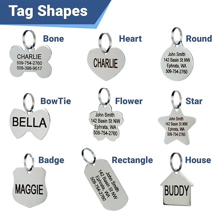 GoTags Stainless Steel Pet ID Tags, Personalized Dog Tags and Cat Tags, up to 8 Lines of Custom Text, Engraved on Both Sides, in Bone, Round, Heart, Bowtie and More (House, Regular (Pack of 1))