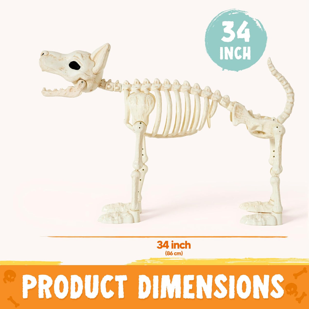 JOYIN 34” Halloween German Shepherd Skeleton, Life Size Plastic Dog Skeleton ...