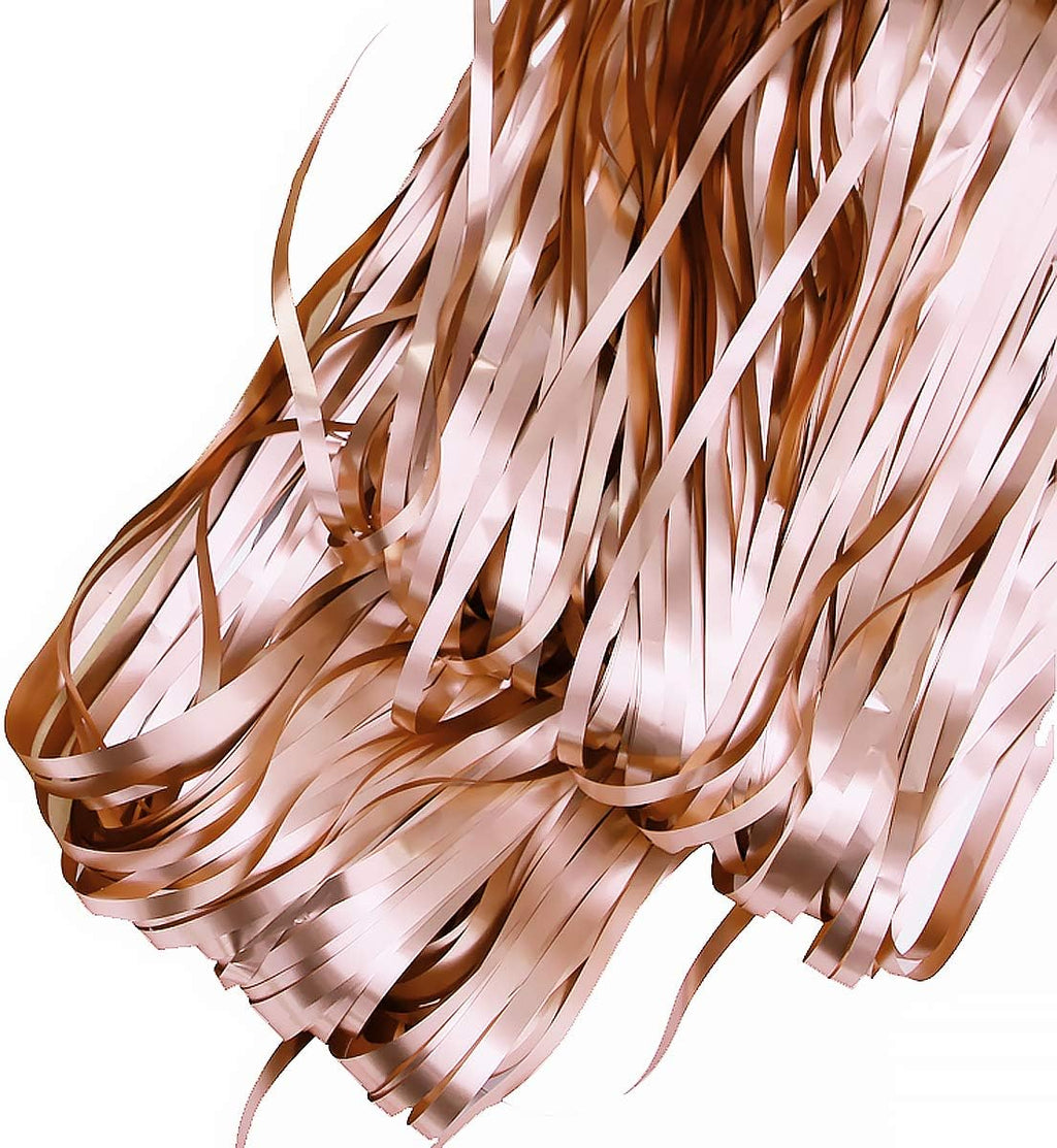 Metallic Tinsel Champagne 2 Packs of 3ftX8ft Foil Fringe Curtains for Birthday Party Photo Backdrop Decoration by CCINEE