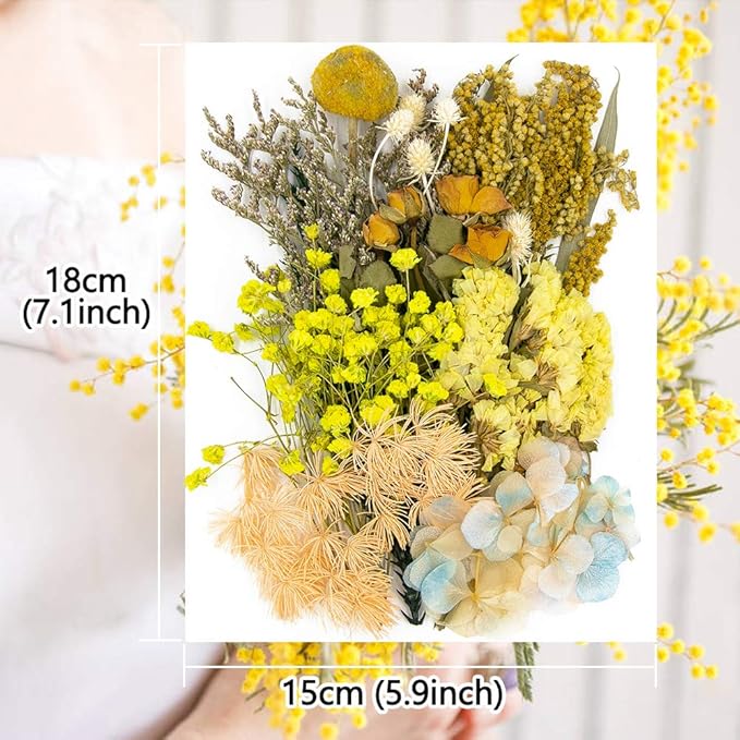 Vignee Real Dried Pressed Leaf Flowers-Multiple Colorful Pressed Flowers Daisies for Craft Resin Jewelry Making Art Craft DIY and Soap Candle Scrapbooking DIY Resin（Yellow）