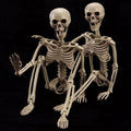 40" pose-n-stay halloween skeletons, life-size full body realistic, main product view