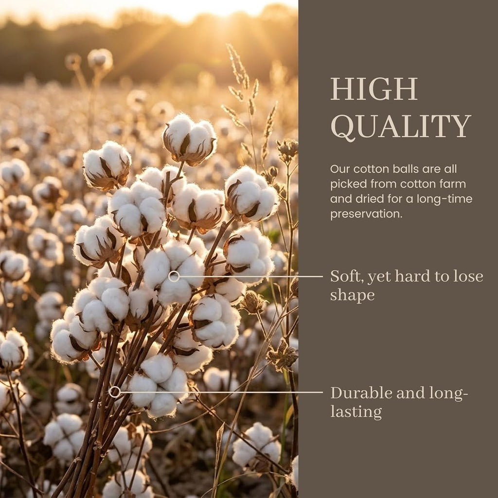 DomeStar Cotton Stems 8 Packs with 15 Bolls, Natural Dried Flowers Cotton Sprigs for Vase Fillers and Floral Arrangements - Fall Decorations and DIY Crafts