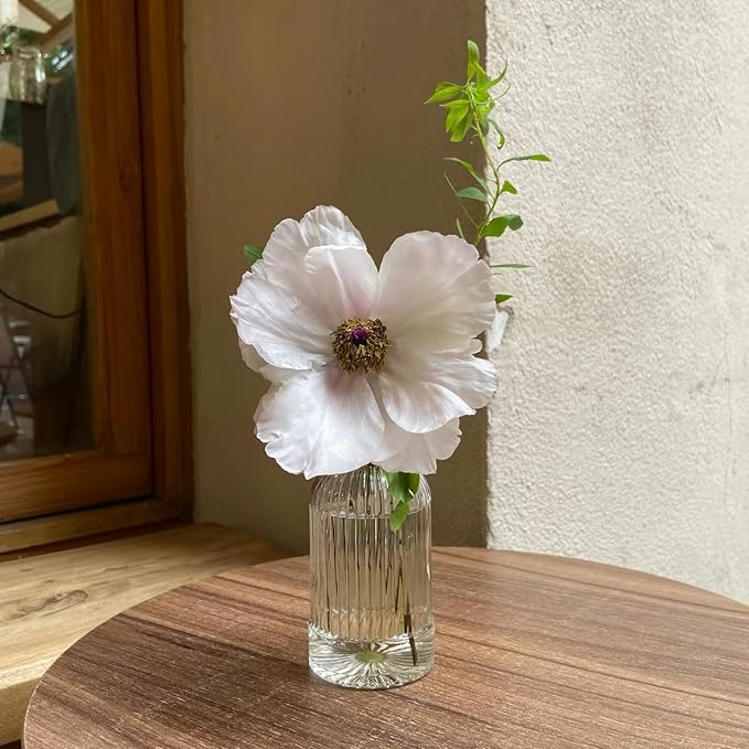 24Pcs Glass Bud Vase Set,Small Flower Vase for Tables Centerpieces Decor, Mini Vintage Clear Vase for Home,Wedding,Party Decorations（24 Pcs，Clear）
