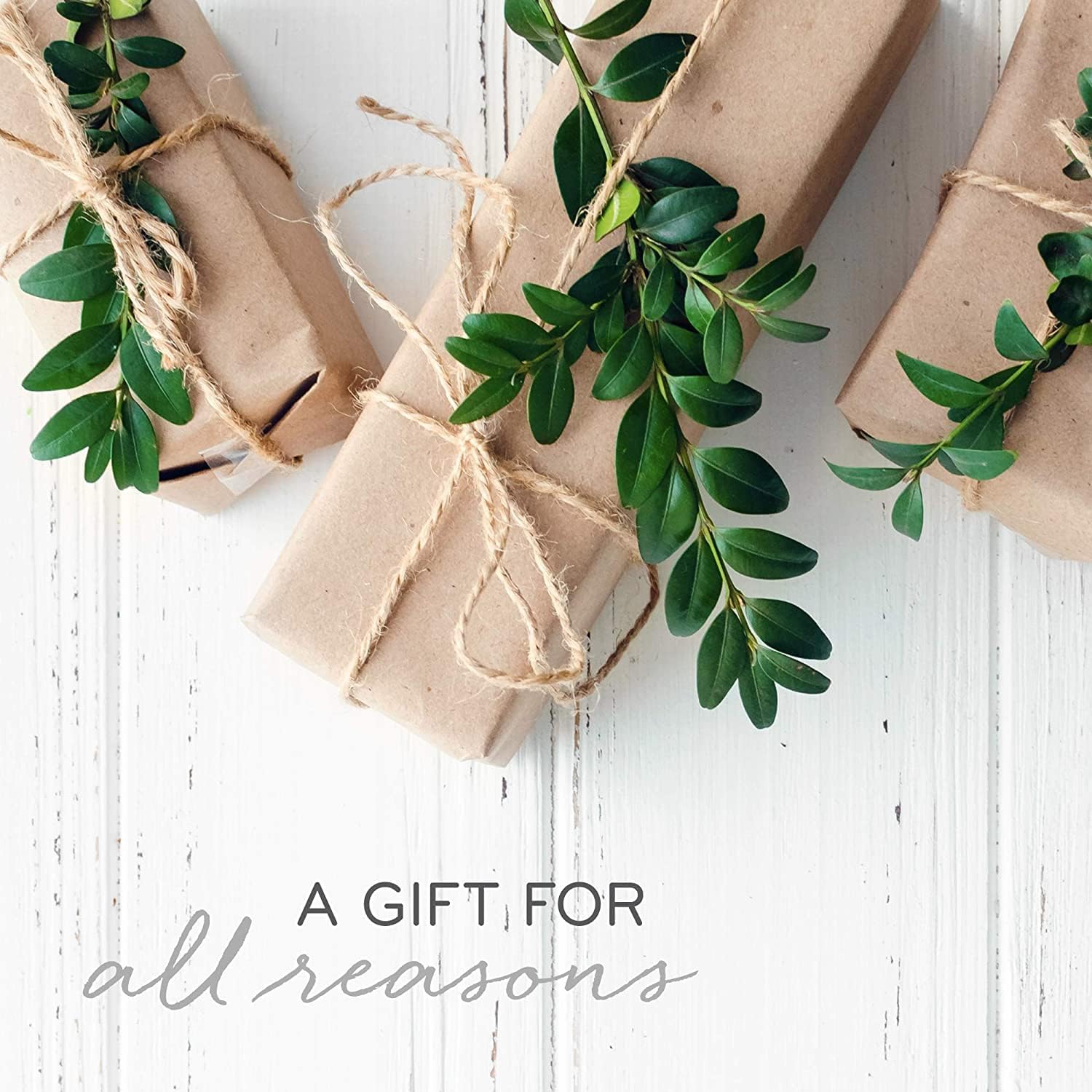 Thymes Scented Candles for Home Decor - Luxury Home Fragrance Gifts for Women & Men - Winter Candles with Crisp Notes of Sage, Eucalyptus, & Cypress Needles - Sage-Green (Highland Frost, 2 oz)
