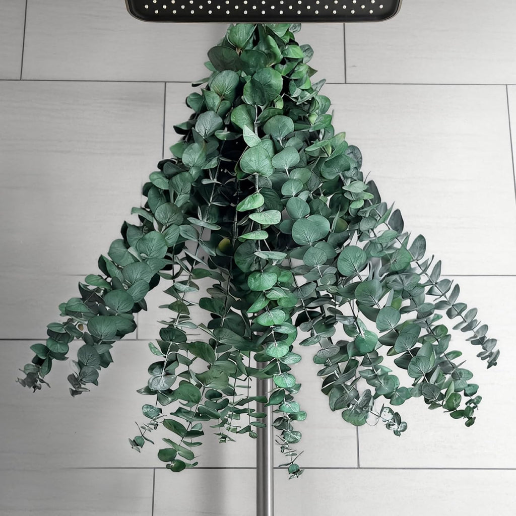 20 PCS Dried Eucalyptus Stems for Shower Hanging, 100% Made from Fresh Leaves, 17” Preserved Eucalyptus for Vase Filler, Wedding, Farmhouse, Bathroom, Home & Spa Decor