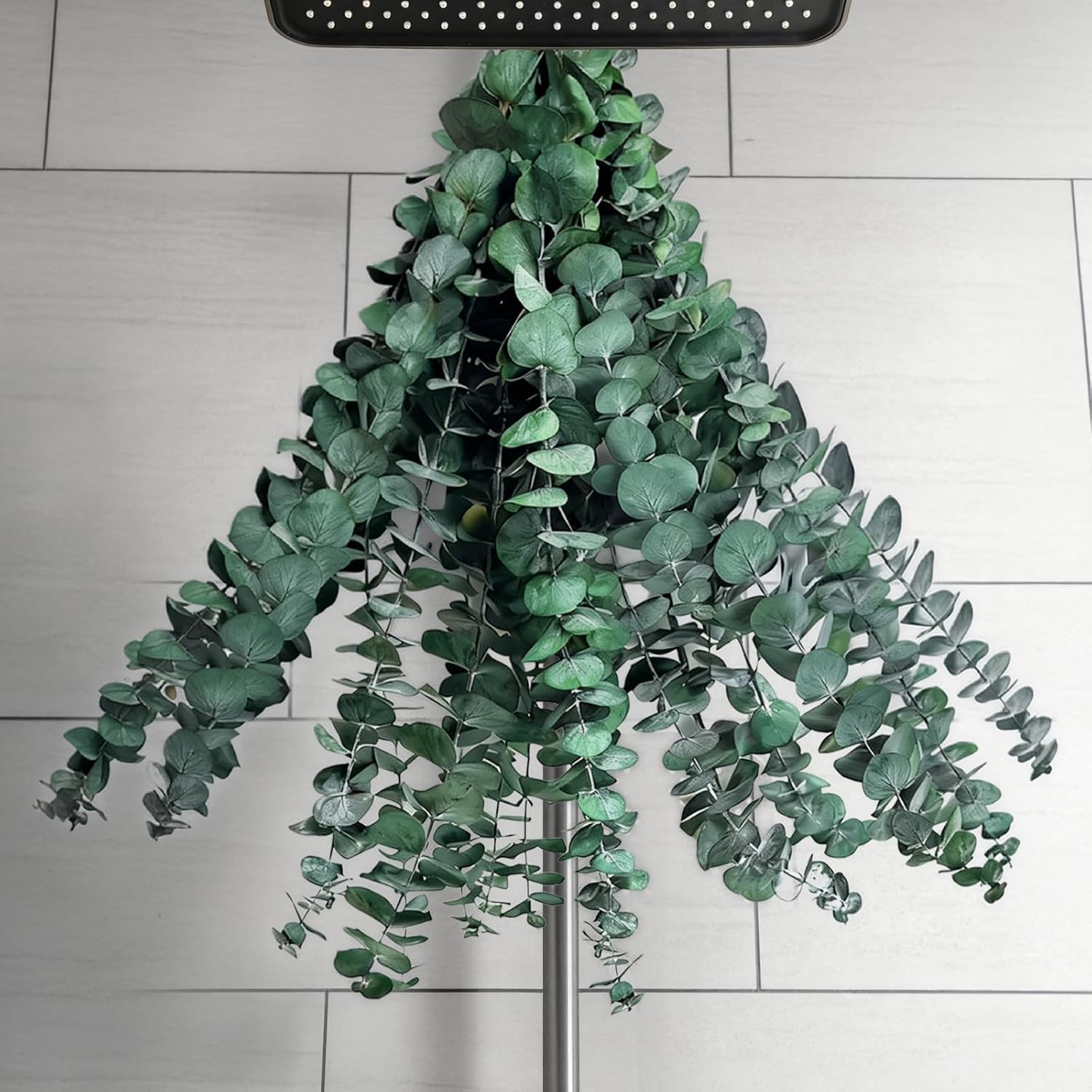 20 PCS Dried Eucalyptus Stems for Shower Hanging, 100% Made from Fresh Leaves, 17” Preserved Eucalyptus for Vase Filler, Wedding, Farmhouse, Bathroom, Home & Spa Decor
