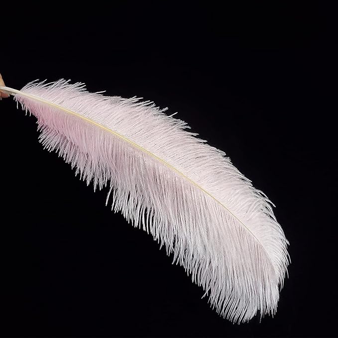 Happy Feather 16-18 inch Pink Ostrich Feathers Craft for Wedding Party Centerpieces Home Decoration DIY Craft Pack of 10