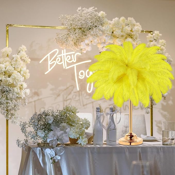 80 Pcs Large Natural Ostrich Feathers Plumes 14-16 Inch Bulk for DIY Crafts Wedding Party Centerpiece Vase