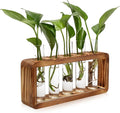 Glass Plant Propagation Station with 5 Test Tubes Colorful Planter Vase Birthday Gifts for Women Mom Plant Lovers with Wooden Stand