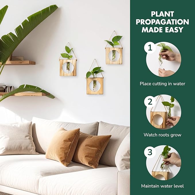 · GARDEN REPUBLIC · Propagation Stations Set of 2 - Propagation Vases for Plants - Hanging Wooden Wall Planter and Glass Test Tubes - Indoor Plant Holder, Hydroponic Decor