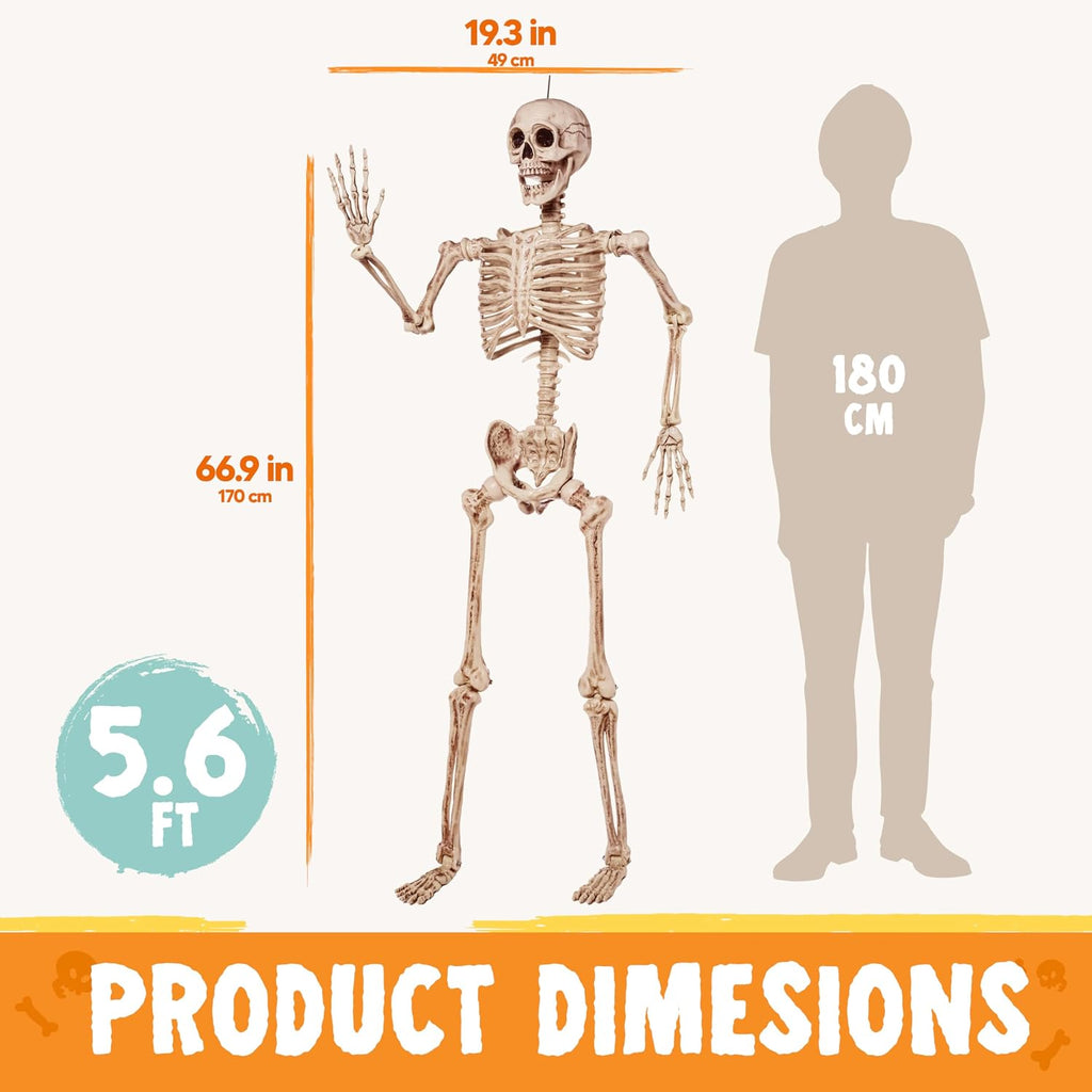 joyin 5.6 ft halloween posable life size skeleton on a desk or shelf