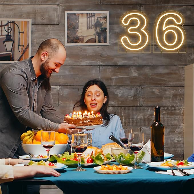 Number 6 LED Neon Sign Backdrop Birthday Party Decoration, 11.3" 11.3" Height Warm White Marquee Six Numbers Light Up Sign for Wedding Anniversary Window Wall Table, Indoor Battery Operated or USB