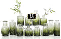 Mini Bud Vases As Wedding Centerpieces for Tables,Clear Bud Vases for Flowers,Small Flower Vases Suitable for Birthday Party,Anniversary,Wedding Reception,Baby Shower (Dark Green, 12PCS)