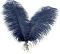 Happy Feather 16-18 inch Navy Blue Ostrich Feathers Craft for Wedding Party Centerpieces Home Decoration DIY Craft Pack of 10