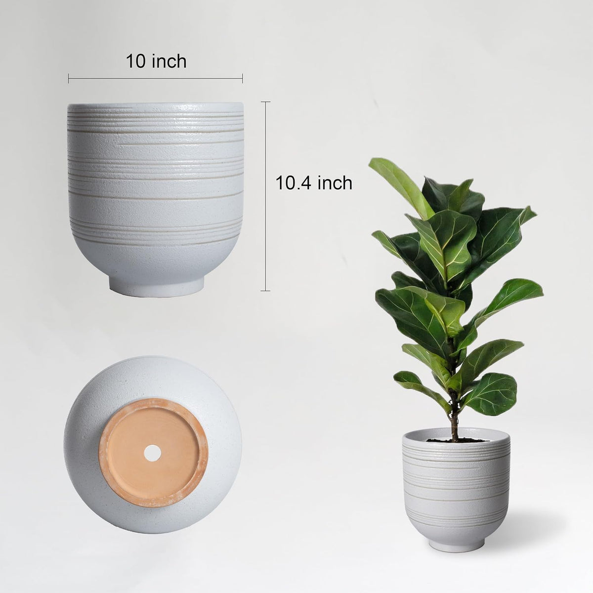 herduk large white ceramic planter for indoor trees showing dimensions