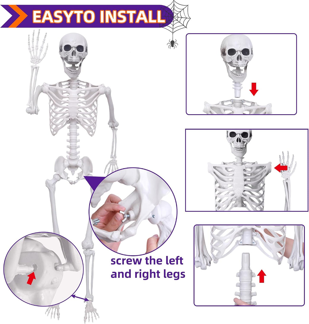 5.4 ft Halloween Skeleton Poseable Skeleton Life Size Skeleton Full Body Plas...