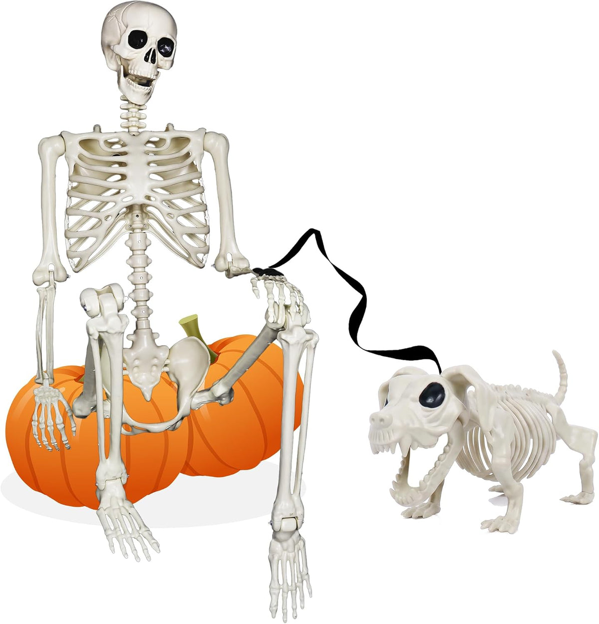 NEROSUN 5.4FT Halloween Skeletons Decoration, Posable Life Full Size Skeleton...