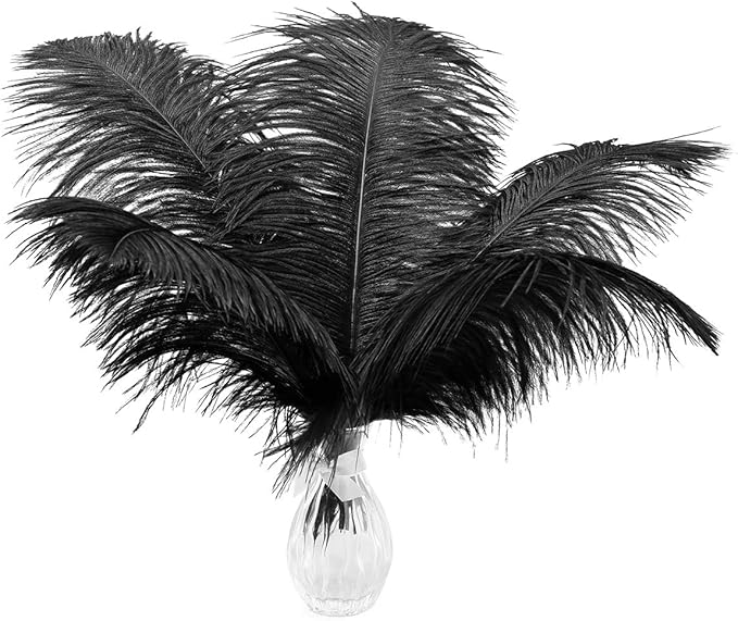 Ballinger Black Large Ostrich Feathers - 24Pcs 12-14inch Large Feathers for Vase,Gatsby and Halloween Party Centerpieces