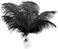 Ballinger Black Large Ostrich Feathers - 12Pcs 14-16inch Large Feathers for Vase, Wedding Party Centerpieces and Halloween Home Decor