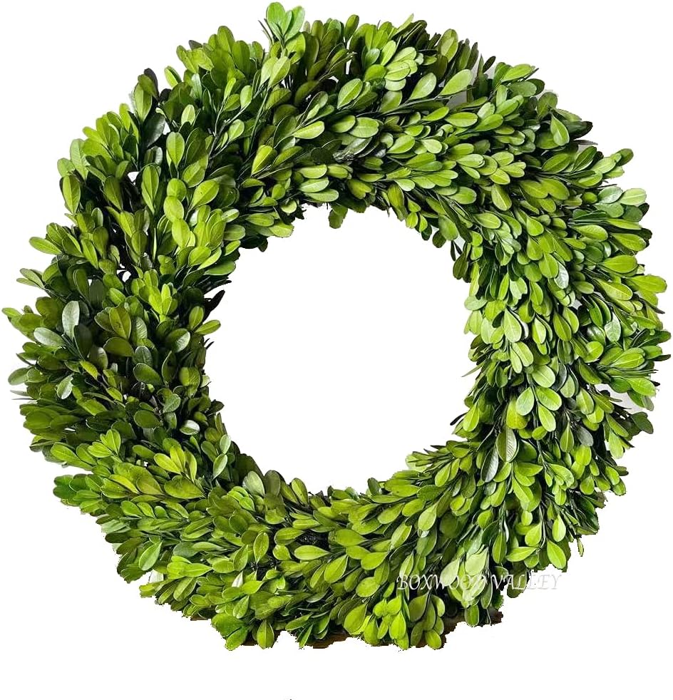 preserved boxwood wreath, 11 inches, green wreath for, main product view
