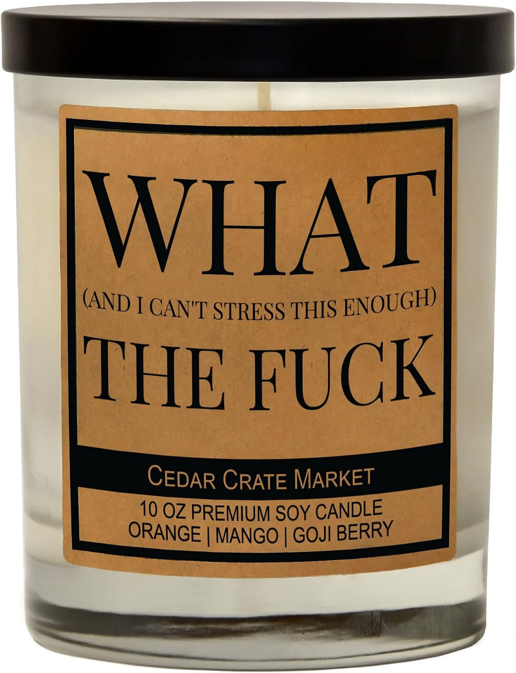 What (and I Can't Stress This Enough) The F, Best Friend, Friendship Gifts for Women or Men, Birthday, Going Away, Funny Gifts for Friends, Long Distance, Funny Candle, Scented Soy 10 oz Candle