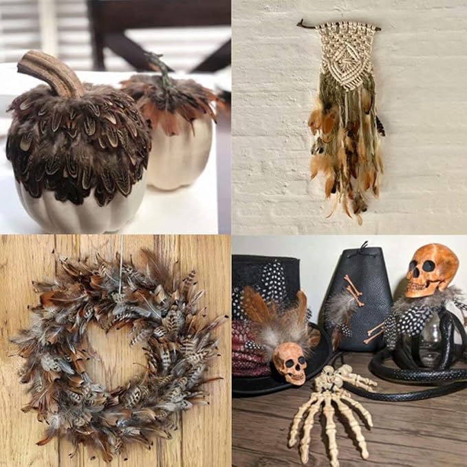 360pcs 12 Styled Natural Feathers Assorted Mixed Feathers for Jewelry and Dream Catcher Crafts