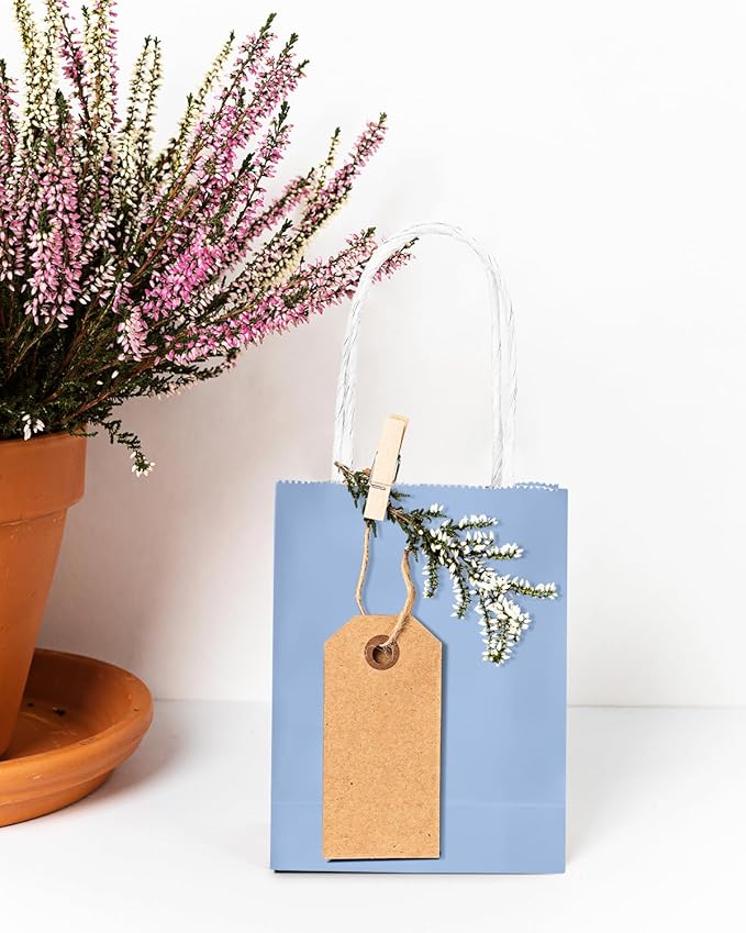 qiqee 50-Packs Light Blue Paper Gift Bags with Handles Bulk 4.5"x2.5"x6" Mini Size Party Favor Bags Multiple Uses