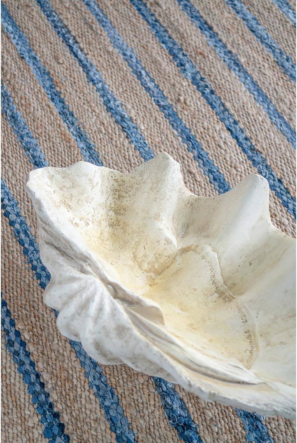 Large Clam Shell Accent