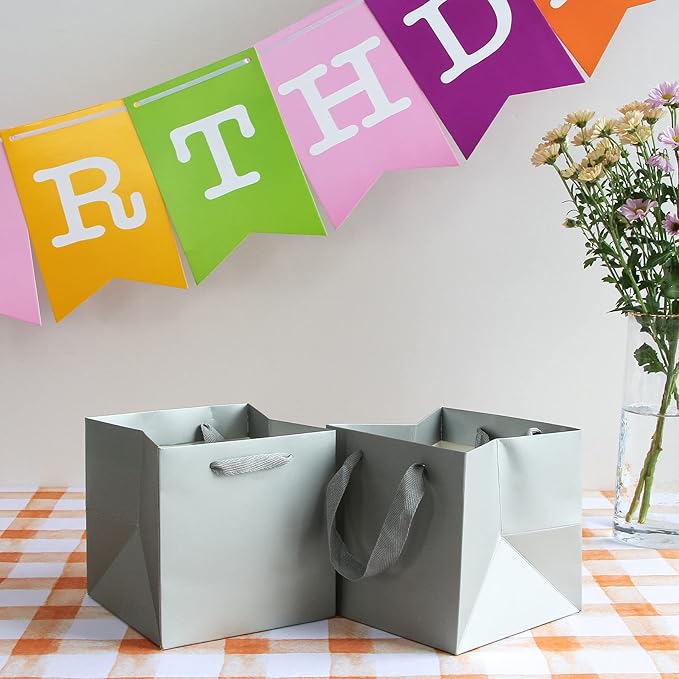 Silver Gray Paper Gift Bag 10 in Paper Gift Box Large Square Bottom Kraft Paper Bags with Handles for Wedding Baby Shower Birthday Party (Silver Grey, 10 x 10 x 10 in, 10 CT)