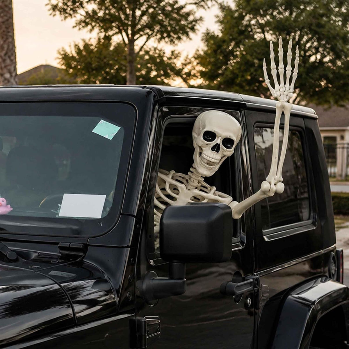 Znorso 5.4ft Halloween Skeleton - Halloween Posable Life Size Skeleton Huma F...