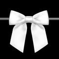 Rainbow Pana 120 Pack Twist Tie Bows for Treat Bags 3" White Satin Ribbon Bows for Package Craft Gift Wrapping Decoration