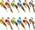 LWINGFLYER 4Inch Fake Birds Multicolor Clip on Bird Spring Feather Tree Ornaments for Wreaths Crafts Floral Arrangements Garden Birthday Party Decor