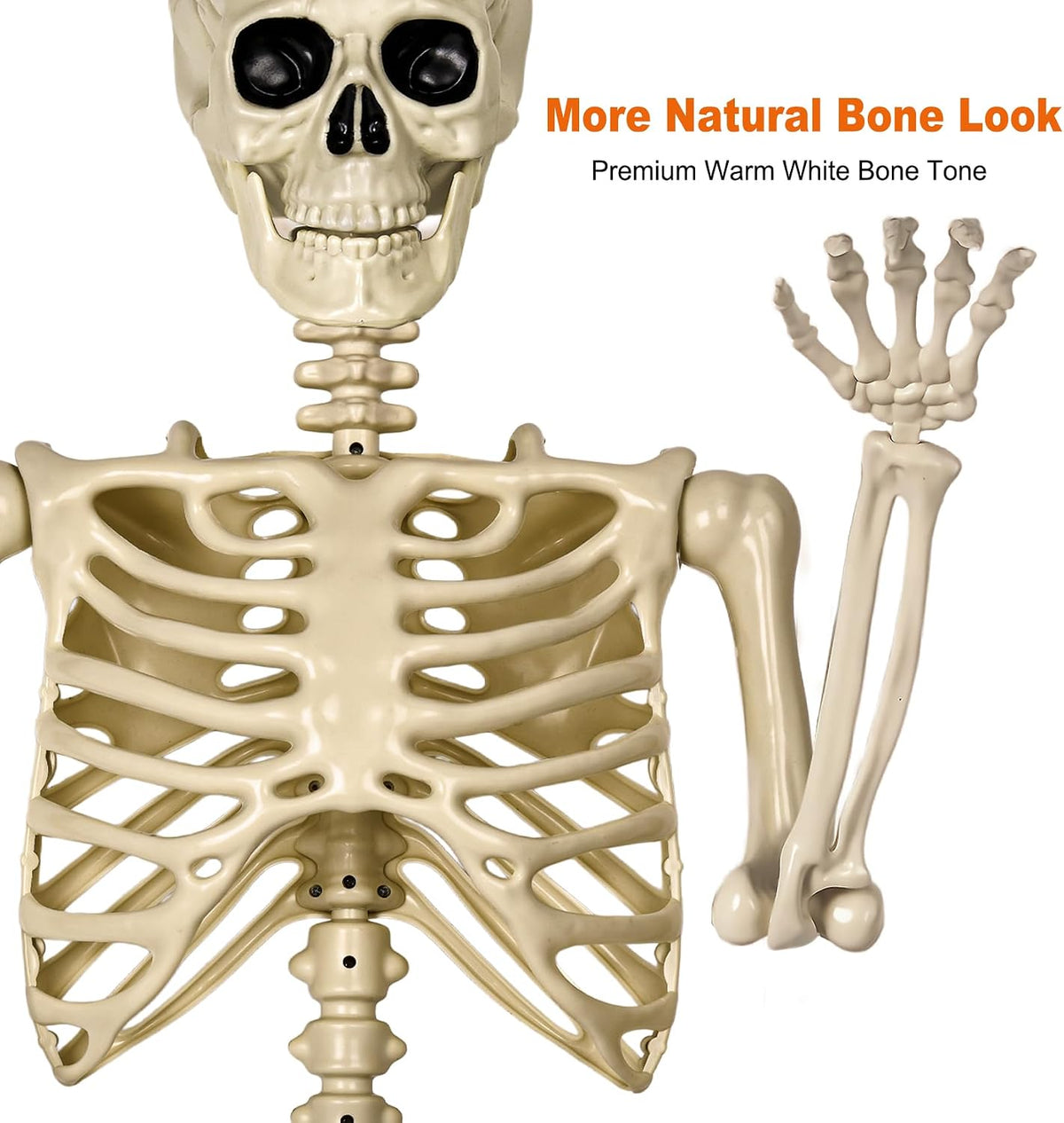 Aimeiar 5.4ft/165cm Life Size Skeleton for Halloween Decorations Outdoor/Indo...