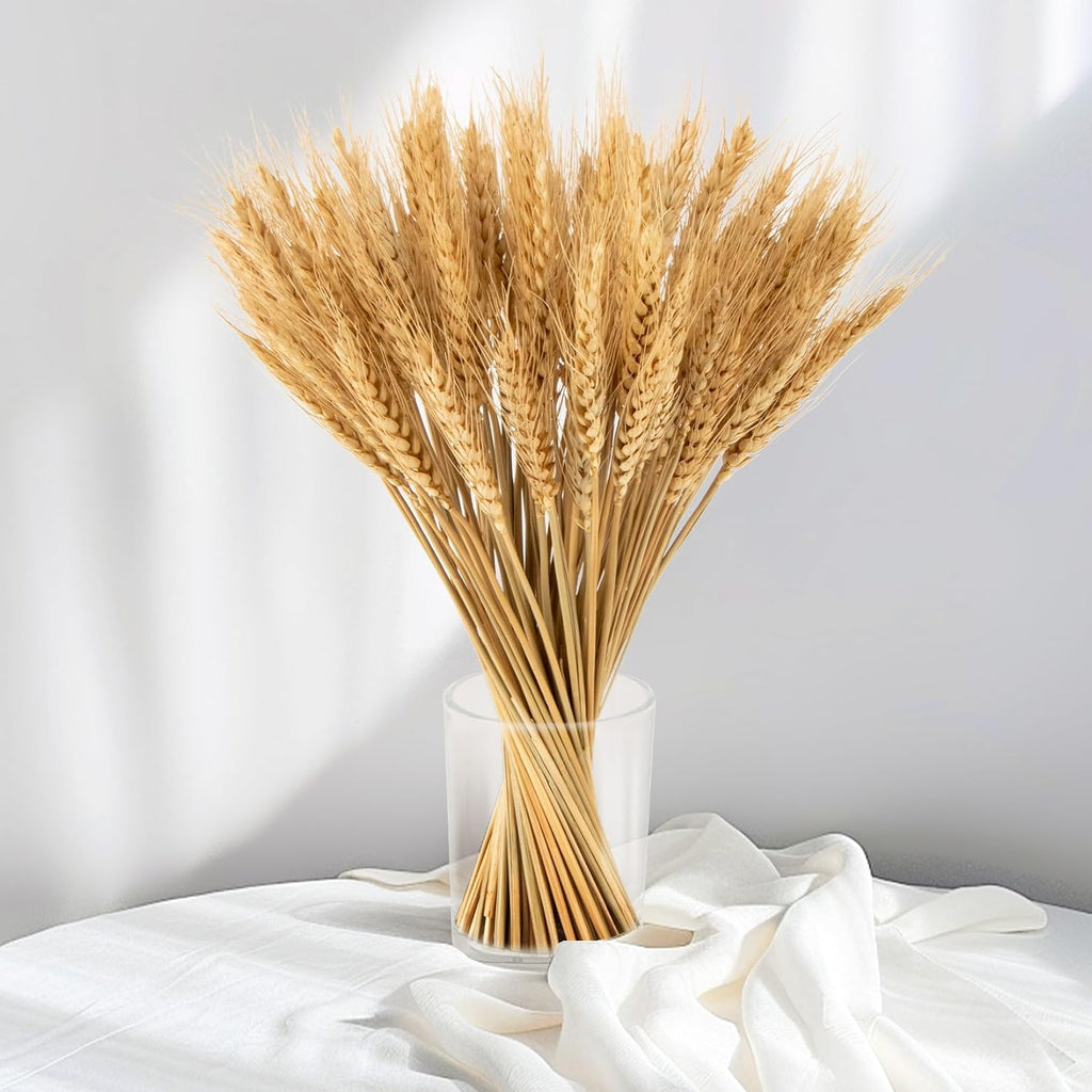 Sukh 100 Stems Dried Wheat Stalks - Boho Fall Decor for Home & Wedding | Natural Wheat Sheaves, Ideal Vase Filler, Table Centerpiece for Thanksgiving, Harvest, Autumn Farmhouse Accent, 12.9in