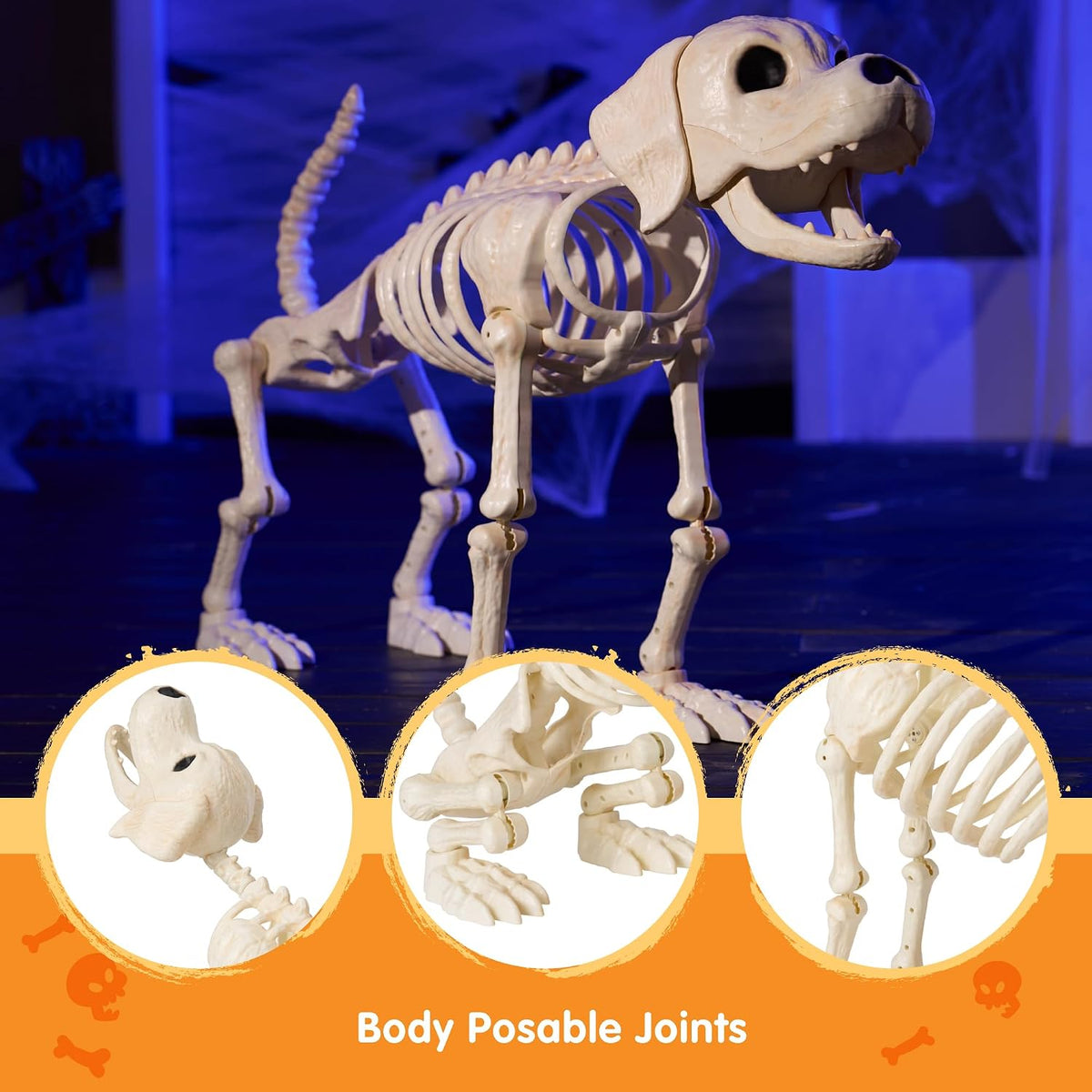 JOYIN Halloween Golden Retriever Skeleton 34” Animal Dog Plastic Skeleton wit...