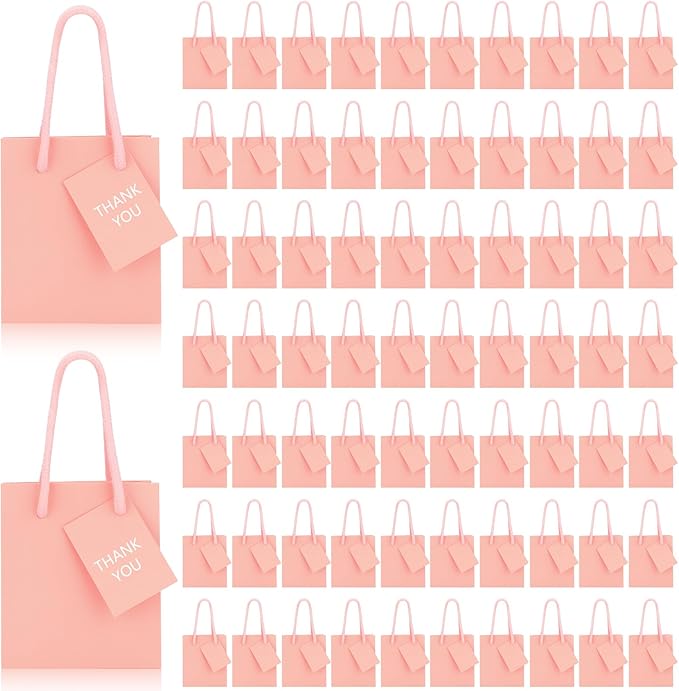 Sherr 100 Pack Mini Gift Bags Bulk, 4 x 2.75 x 4.5 Inches Paper Bags with Tags, Extra Small Paper Gift Boxes with Handles for Birthday, Party Favors, Weddings, Small Business(Pink)
