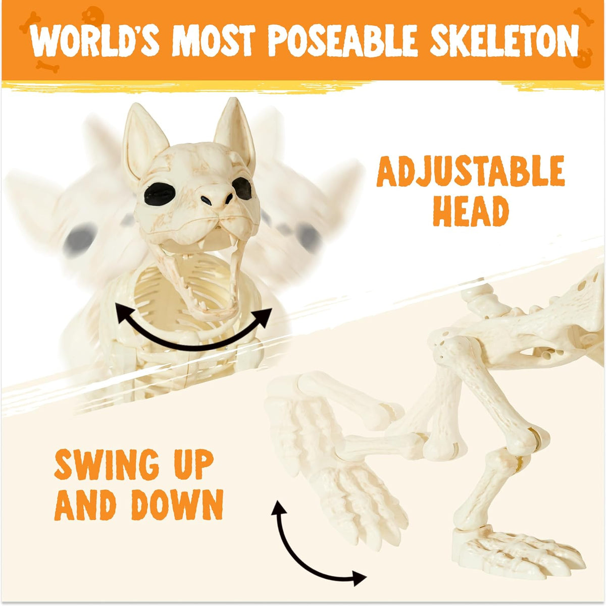 JOYIN 34” Halloween German Shepherd Skeleton, Life Size Plastic Dog Skeleton ...