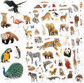 Wild Animals Stickers 750 Count Safari Jungle Animal Woodland Wildlife Zoo Creatures Stickers Party Favors Gifts Sticky Decor for Scrapbook Calendar Planner Gift Wrap Decor