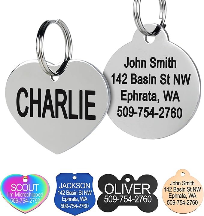 GoTags Stainless Steel Pet ID Tags, Personalized Dog Tags and Cat Tags, up to 8 Lines of Custom Text, Engraved on Both Sides, in Bone, Round, Heart, Bowtie and More (Heart, Regular (Pack of 1))