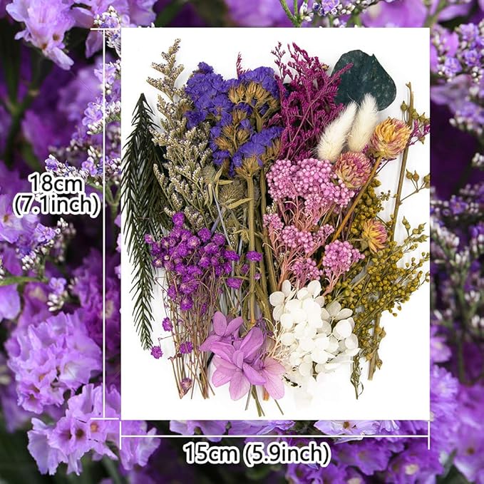 Vignee Real Dried Pressed Leaf Flowers-Multiple Colorful Pressed Flowers Daisies for Craft Resin Jewelry Making Art Craft DIY（Violet）