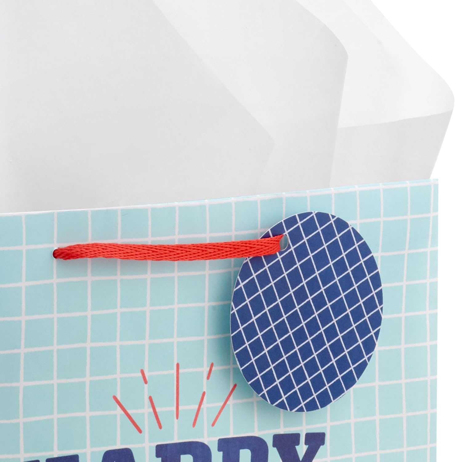 Hallmark 13" Large Father's Day Gift Bag with Tissue Paper and Gift Tag (Happy Dad Day, Light Blue)
