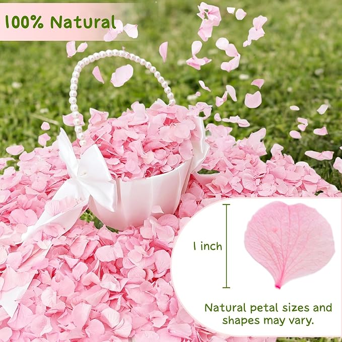 1500Pcs Real Hydrangea Pink Dried Flower Petals - 1.06 oz Natural Dried Pink Petals for Romantic Night, Her Set, Proposal Decor, Flower Girl Basket (30g)